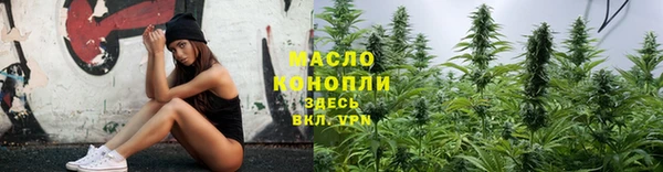 молекула духа Богданович