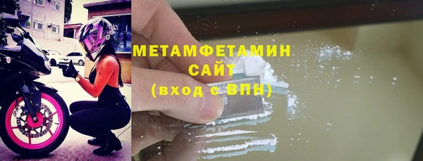 молекула духа Богданович
