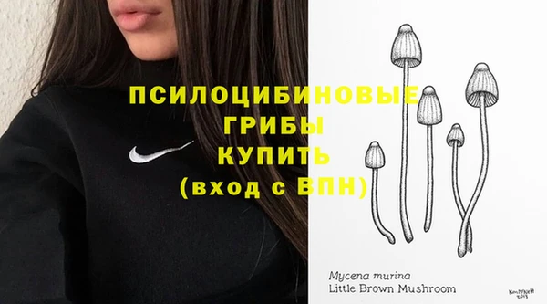 ALPHA-PVP Беломорск