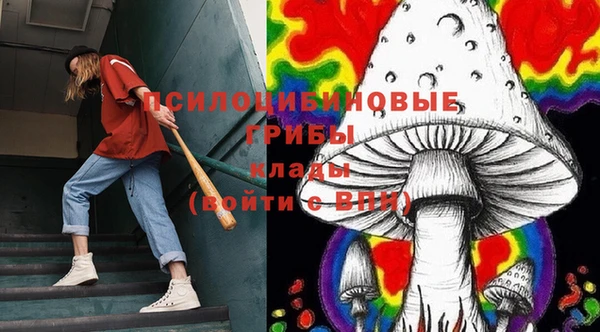 молекула духа Богданович