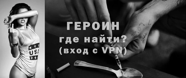 молекула духа Богданович