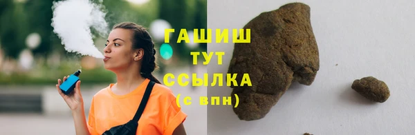 молекула духа Богданович