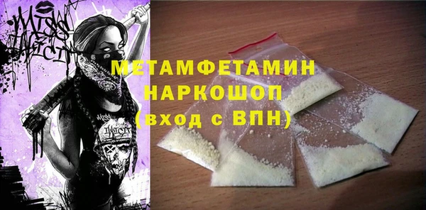 молекула духа Богданович