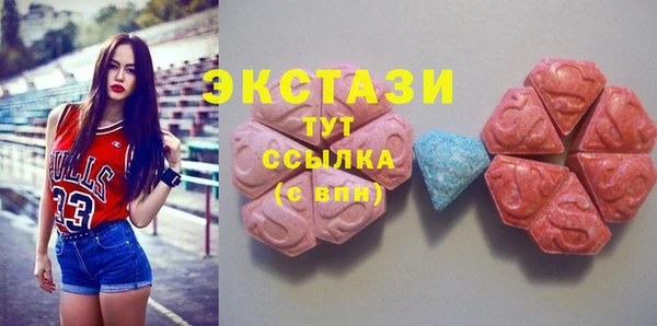 молекула духа Богданович