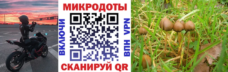 нарко площадка формула  что такое наркотик  Каменск-Уральский  Псилоцибиновые грибы GOLDEN TEACHER 